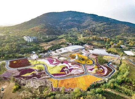 米粒花世界 图源:珠城文旅