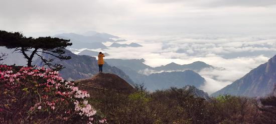 拍摄于黄山鳌鱼峰（李金刚 摄）