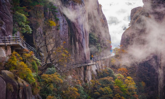 九华山风景区秋色 (图源:池州文化旅游公众号)