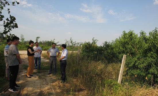 六安市一谷一带办赴舒城调研经果林产业发展