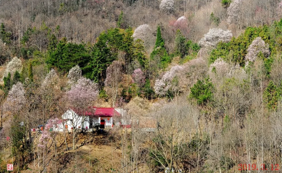 (王峰 摄)