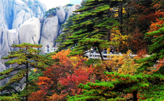 黄山风景区秋景(图源:黄山公众号)