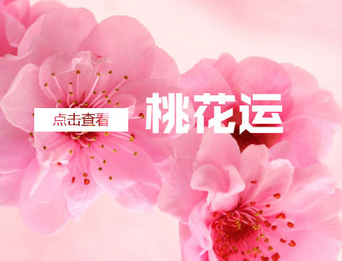 2016桃花运爆棚的生肖女