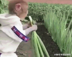 12星座好嗨呦！