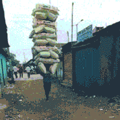 rdNI-htstzca4767777.gif