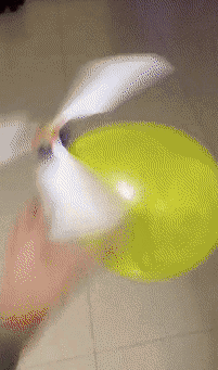 活成了表情包的12星座