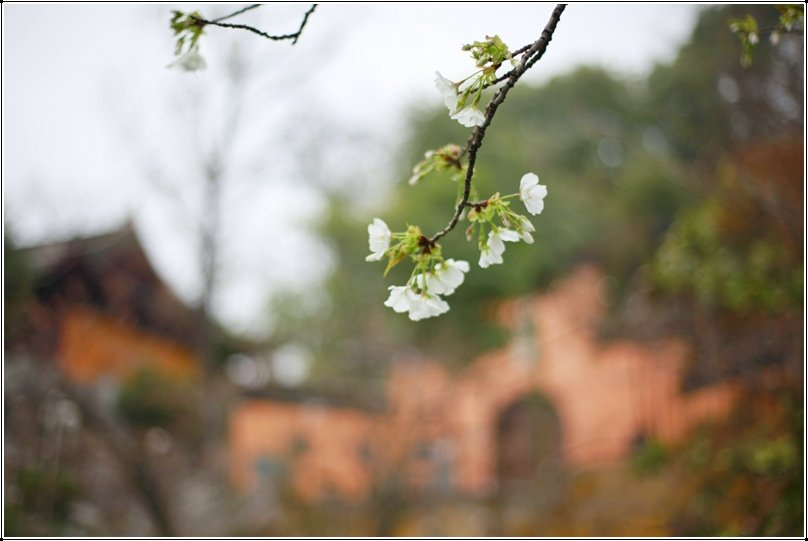 兰州旅游公司(福州旅行社哪家最好)