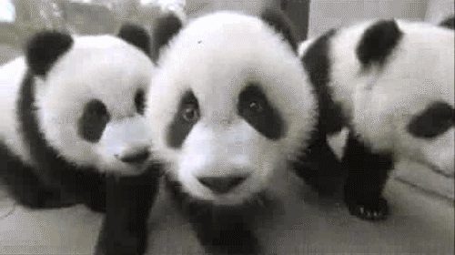好争高下拒绝服软的星座男