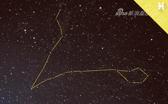 中西合璧:星座×生肖双鱼月生日图腾