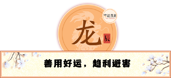 龙