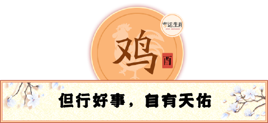 鸡