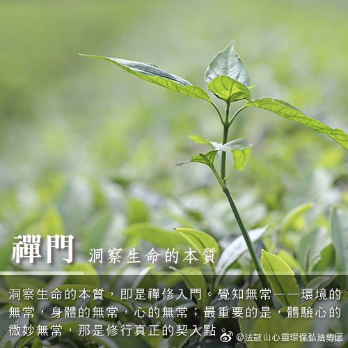 在修行中洞察生命本质(图:林昆贤)