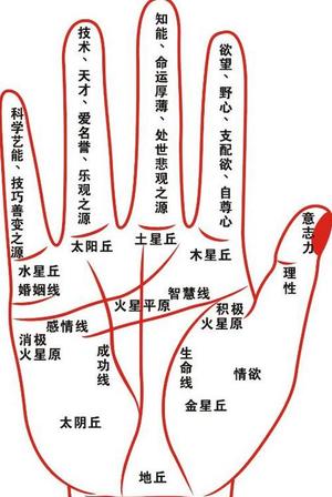 哪些手相的男人最能赚钱(图)_新浪星座_新浪网