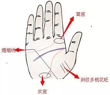 婚姻线的位置及重要宫位