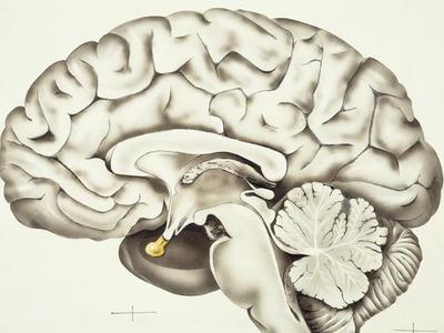 测测你的大脑够灵活吗