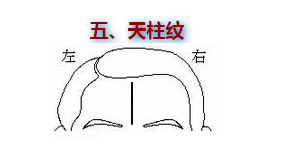 天柱纹