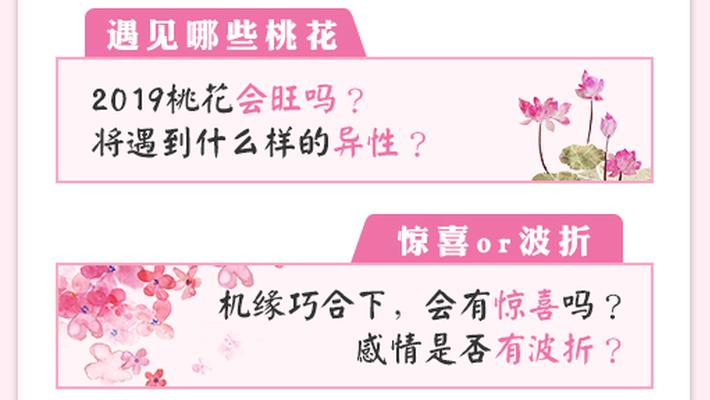 2019猪年桃花运