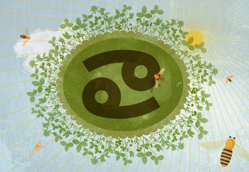 第一名:巨蟹座