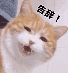 情趣内衣动图_情趣内衣新款一根带子