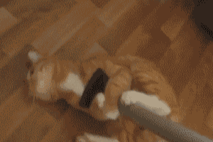 ͶˣЩаļ