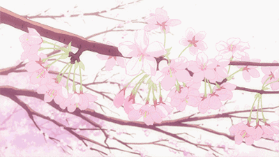 2020桃花运最星座排行_栾叔塔罗牌占卜:2020年十二星座工作运势权力排