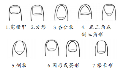 7种指甲形状