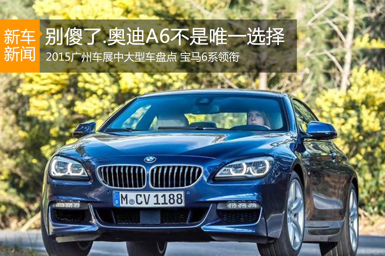 2015广州车展中大型车盘点 宝马6系领衔