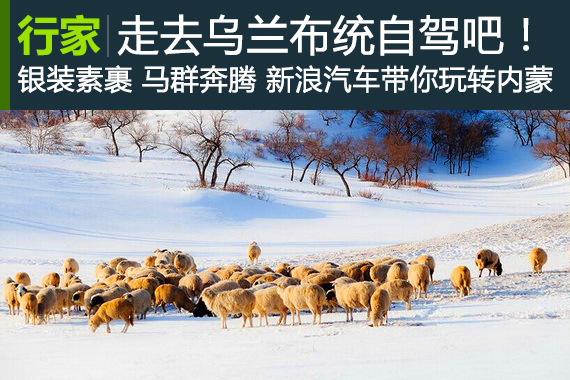 去内蒙乌兰布统自驾你必须看看这个