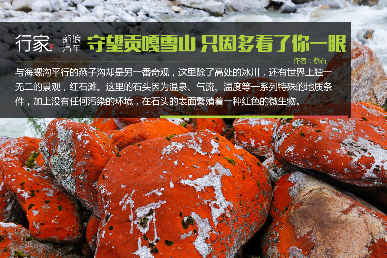 川藏线上的你 世界独一无二的景致看了么