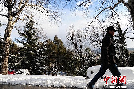 山东烟台突降大雪高速路多车连环相撞