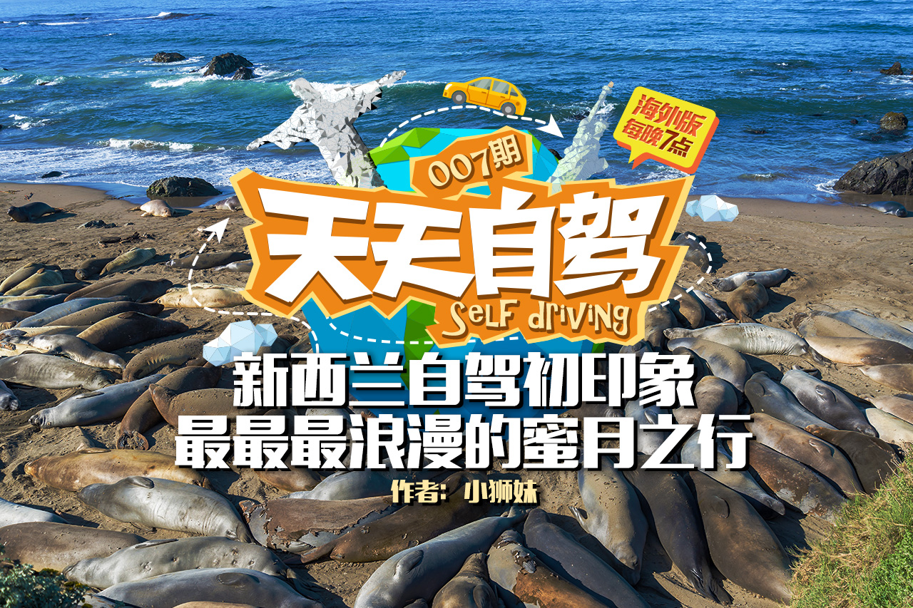 自驾|新西兰初印象 最最最浪漫的蜜月之行