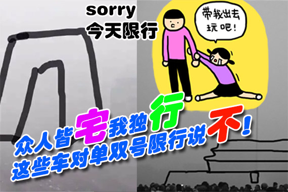众人皆宅我独行.这些车对单双号限行说不