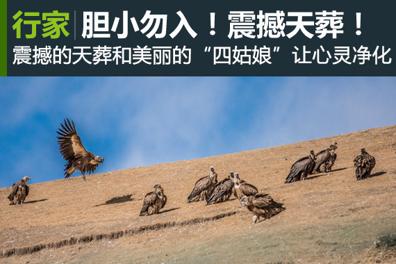 胆小勿入！在修行圣地亲身体验震撼天葬！