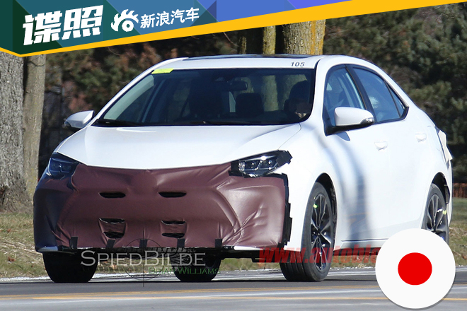 曝新款美版卡罗拉测试谍照 过目难忘