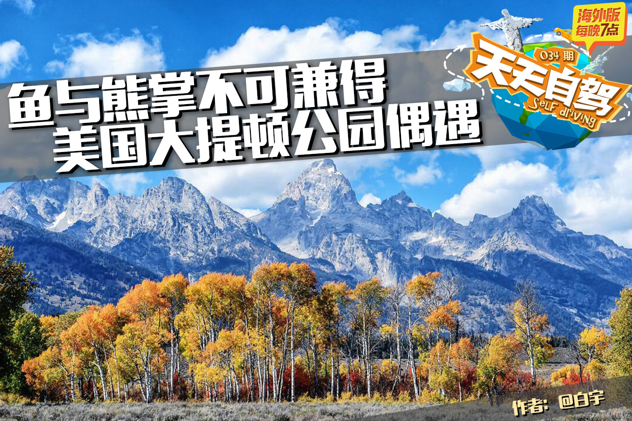 自驾|鱼与熊掌不可兼得 大提顿公园的偶遇
