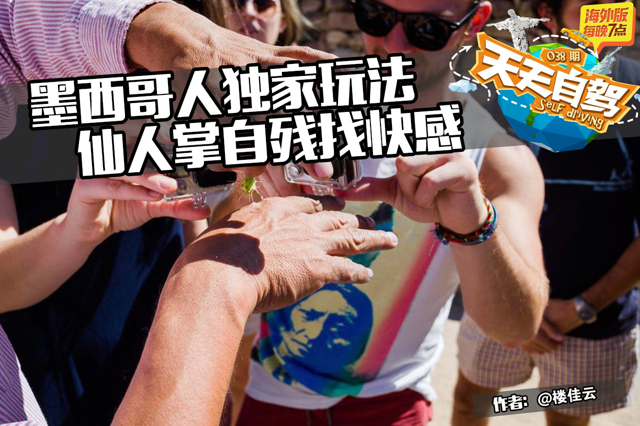 自驾|墨西哥独家玩法 用仙人掌自残找快感