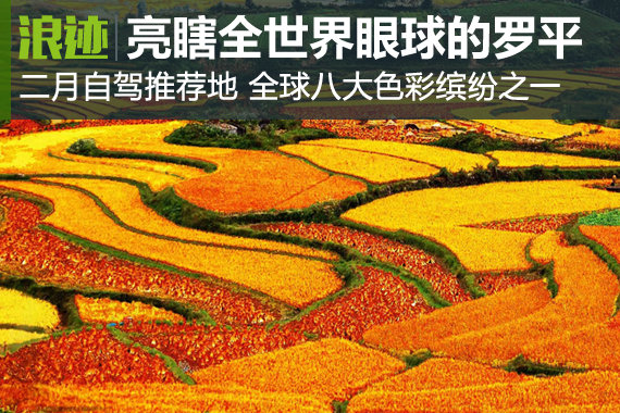 二月自驾推荐地 亮瞎了全世界眼球的罗平