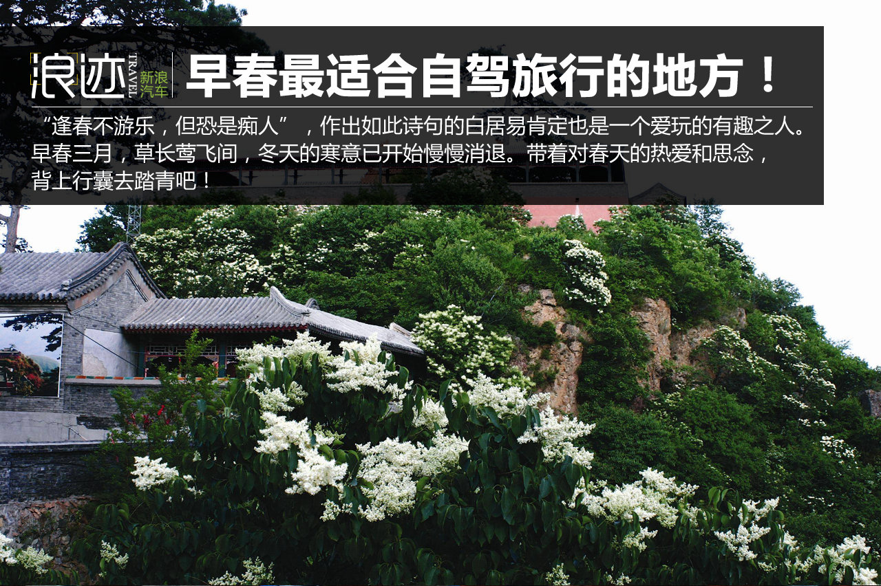 早春最适合自驾旅行的地方！有你想去的吗