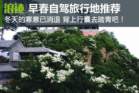 早春最适合自驾旅行的地方！有你想去的吗