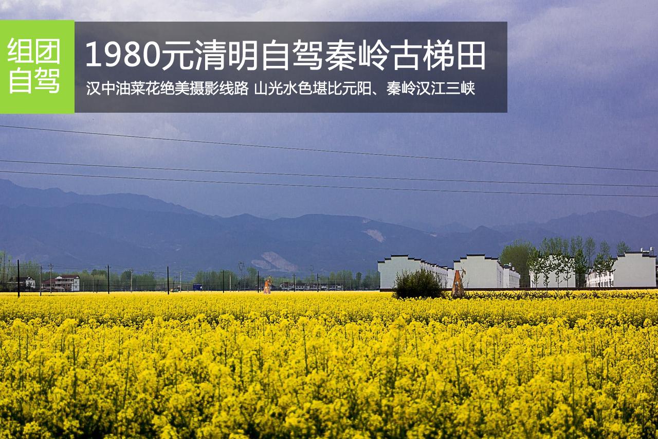 招募:1980元起清明自驾秦岭古梯田油菜花