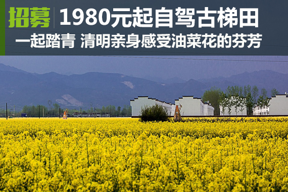 招募:1980元起清明自驾秦岭古梯田油菜花