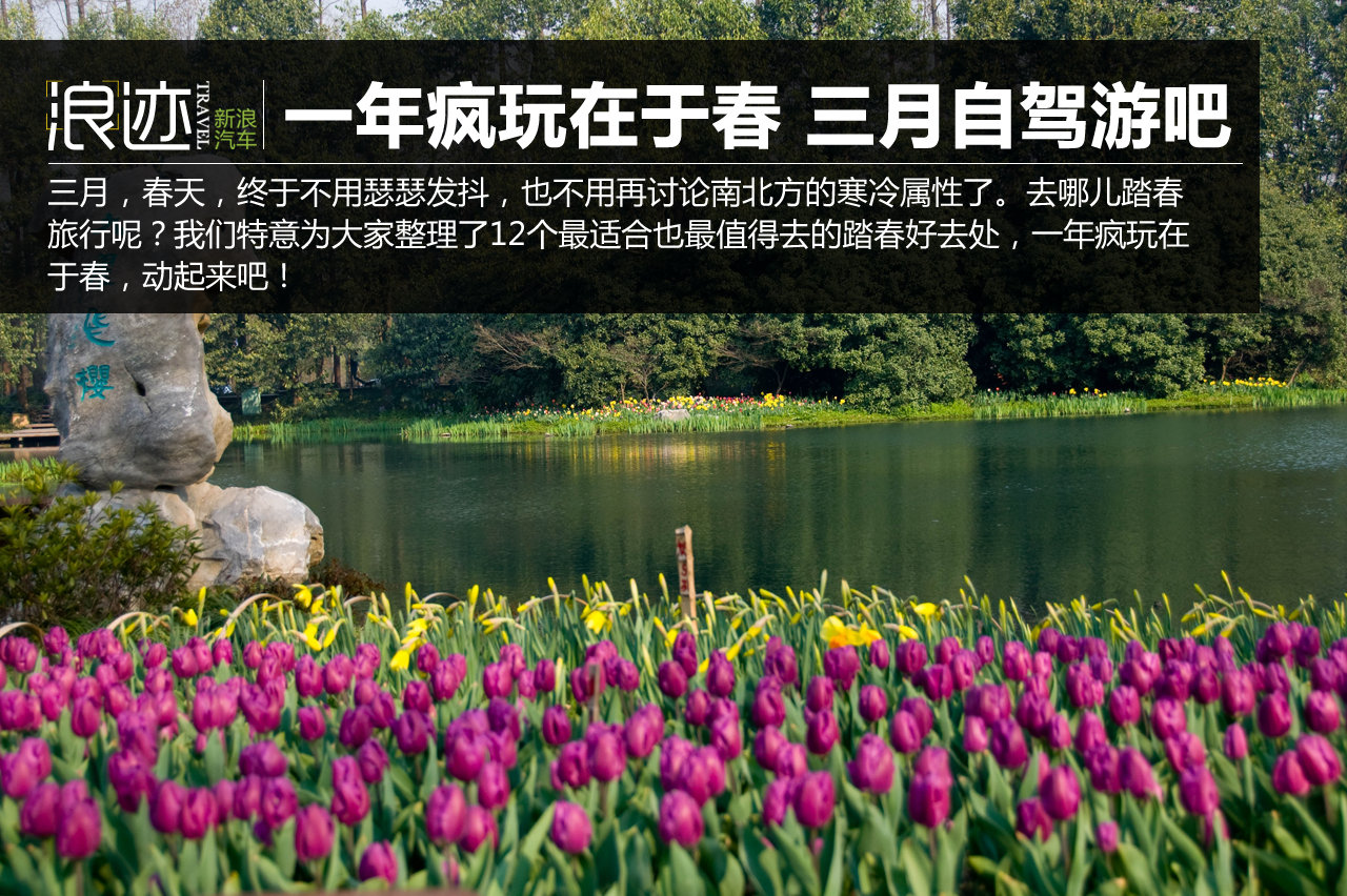 一年疯玩在于春 三月快去自驾旅行吧