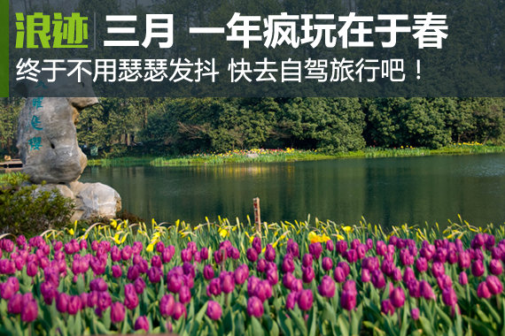 一年疯玩在于春 三月快去自驾旅行吧