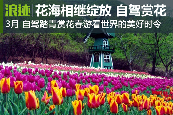 中国十大花海3月相继绽放 自驾去赏花吧！