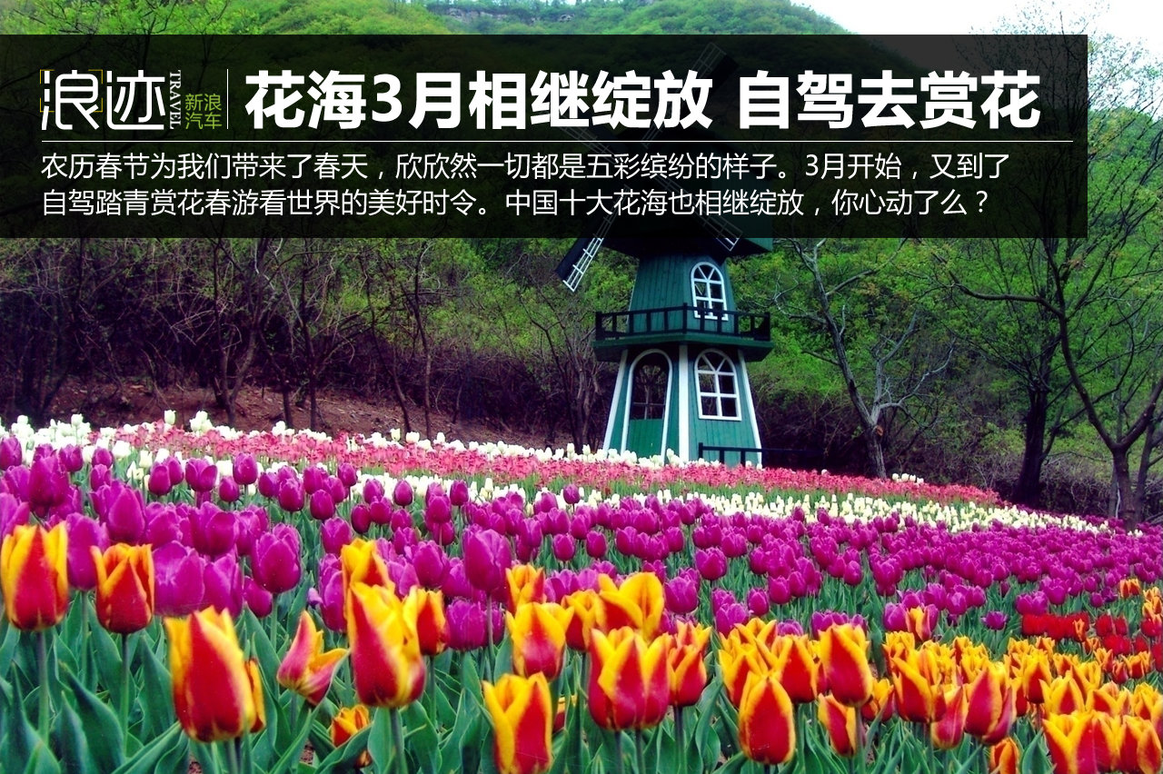 中国十大花海3月相继绽放 自驾去赏花吧！
