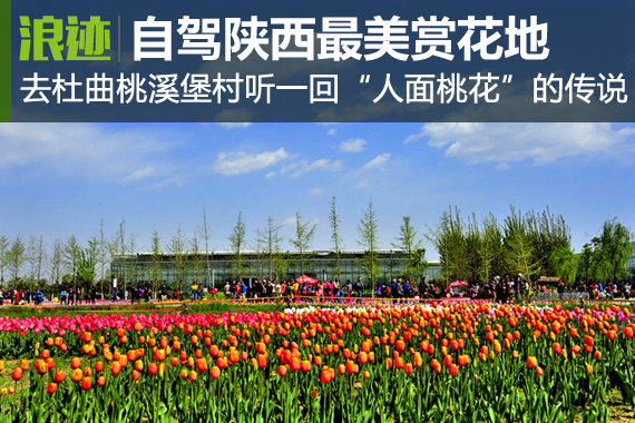 春来自驾赏花去 陕西最美十大赏花地