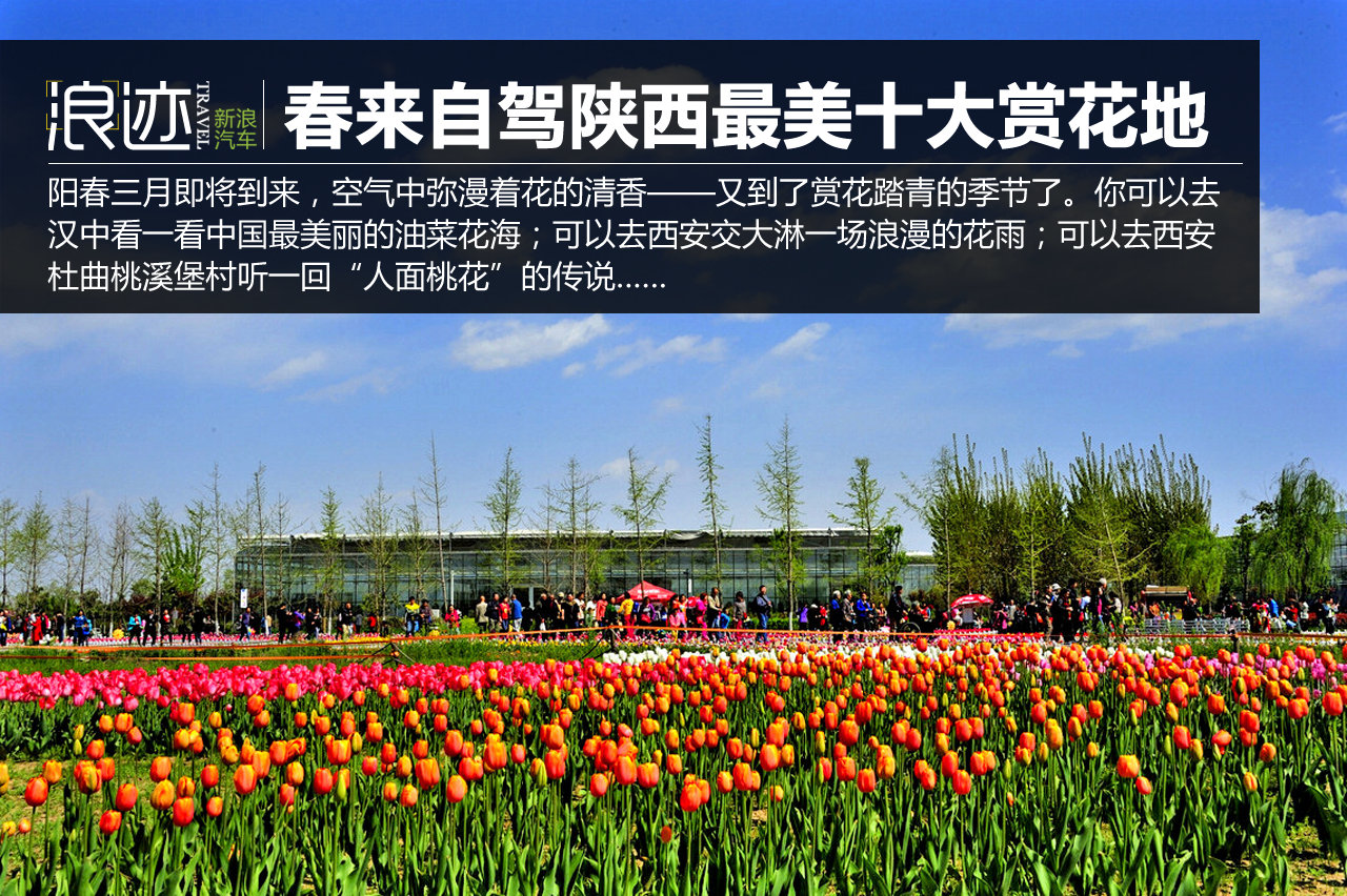 春来自驾赏花去 陕西最美十大赏花地