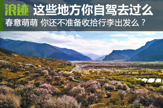 春意萌萌 三月这几个地方你自驾去过了么