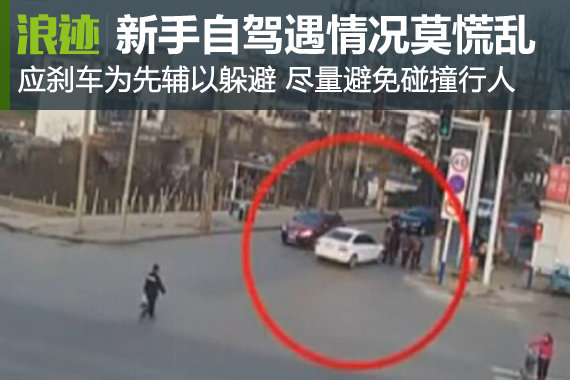 新手自驾遇情况莫慌乱 刹车为先辅以躲避