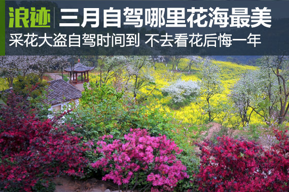 采花大盗自驾时间到 三月哪里花海最美